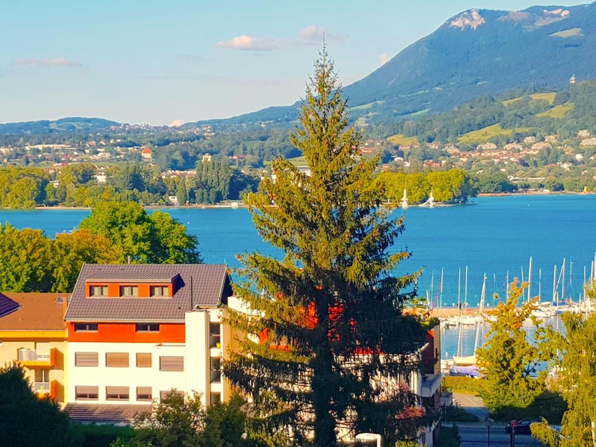 Magnifique résidence à 300 m du lac parking privee Annecy Esterno foto
